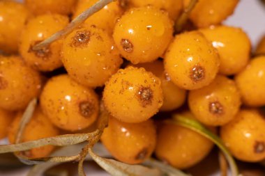 Parlak ve taze böğürtlenler - deniz dikenleri. Lezzetli ve sağlıklı meyveler organik diyet meyveleri besler. Sağlıklı beslenme ve refah için parlak renklerle sulu meyveler. Beyaz arkaplan.