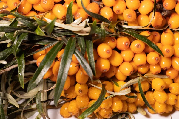 Parlak ve taze böğürtlenler - deniz dikenleri. Lezzetli ve sağlıklı meyveler organik diyet meyveleri besler. Sağlıklı beslenme ve refah için parlak renklerle sulu meyveler. Beyaz arkaplan.