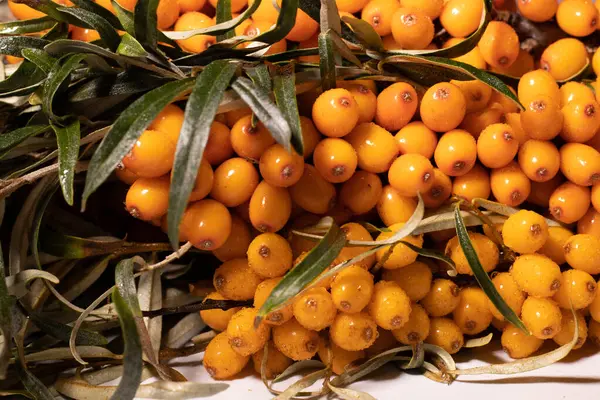 Parlak ve taze böğürtlenler - deniz dikenleri. Lezzetli ve sağlıklı meyveler organik diyet meyveleri besler. Sağlıklı beslenme ve refah için parlak renklerle sulu meyveler. Beyaz arkaplan.