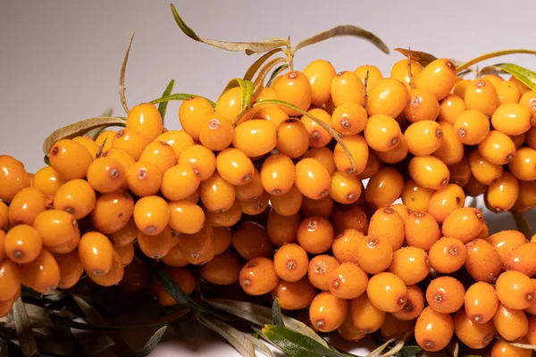 Parlak ve taze böğürtlenler - deniz dikenleri. Lezzetli ve sağlıklı meyveler organik diyet meyveleri besler. Sağlıklı beslenme ve refah için parlak renklerle sulu meyveler. Beyaz arkaplan.