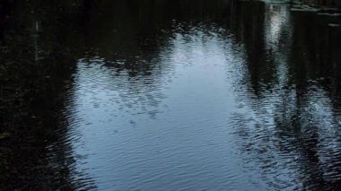 Su damlaları ve su dalgaları görülebilir Göl rüzgarda hareket ederken.