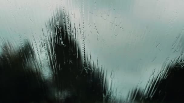 Rainy Weather While Driving Car Road Rain Falls Car Windows — Stock Video