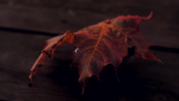 Sonbahar Akçaağaç Yaprağı Ahşap Bir Masada Rüzgarda Hareket Ediyor Yumuşak — Stok video