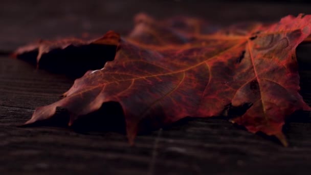 Φθινοπωρινό Φύλλο Σφενδάμου Κινείται Στον Άνεμο Πάνω Ξύλινο Τραπέζι Μαλακή — Αρχείο Βίντεο
