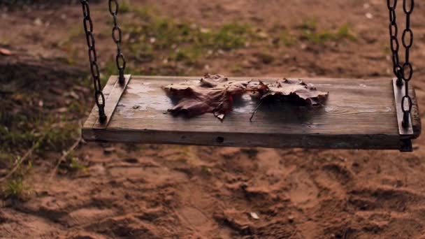Bir Sonbahar Akçaağaç Yaprağı Rüzgarda Sallanıyordu Yumuşak Seçici Odaklanma Resim — Stok video