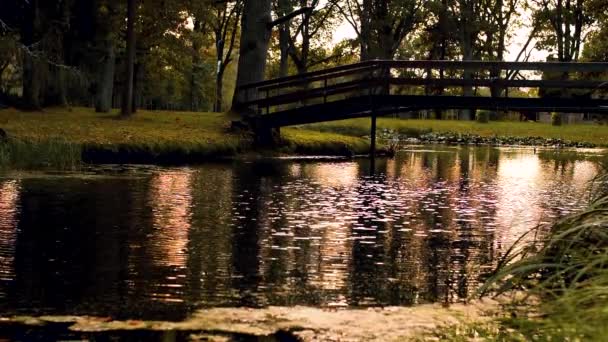 日没に橋を持った湖 柔らかい選択的な焦点 写真のための人工的に作られた穀物 — ストック動画