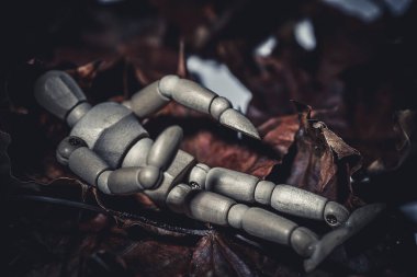 Sonbahar yaprakları ve yapraklı ağaç adam. Yumuşak seçici odak.