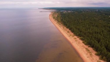 Letonya doğa parkındaki Gauja Nehri. Gauja kıyısındaki en güzel nehir. Nehir kıyısında bir taş. Avrupa 'nın en güzel yerleri.