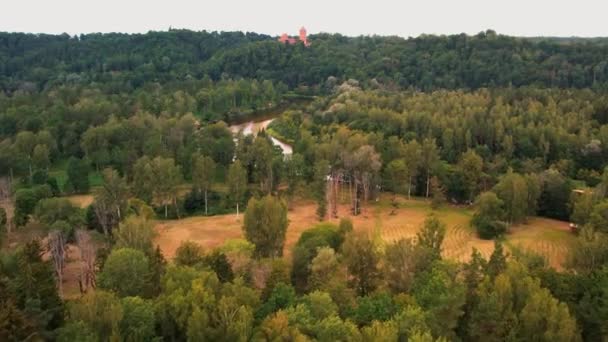 Floden Gauja Lettlands Naturpark Den Vackraste Floden Stranden Gauja Sten — Stockvideo