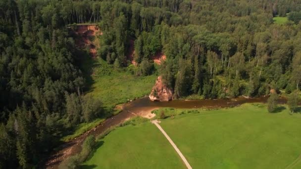 Rzeka Gauja Łotewskim Parku Przyrody Najpiękniejsza Rzeka Brzegu Gauja Kamień — Wideo stockowe