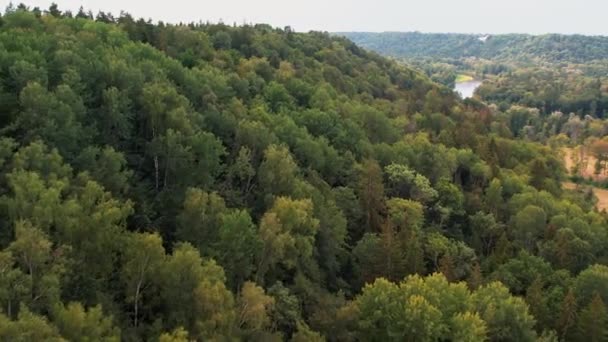 Rio Gauja Parque Natural Letônia Rio Mais Bonito Margem Gauja — Vídeo de Stock
