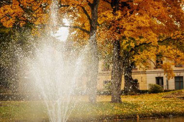 Şehir merkezindeki Cesis Kültür Evi 'nde, çeşmeli güzel bir sonbahar döneminde. Yumuşak seçici odak. 