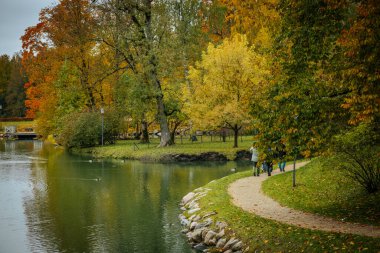 Göl kenarındaki sonbahar parkı. Yürüme yeri. Göl boyunca uzanan yol. Yumuşak seçici odak.