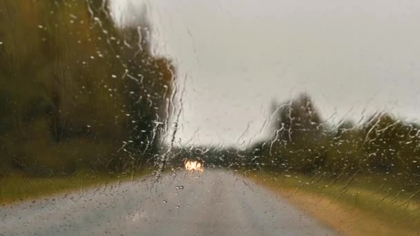 Samochód Jedzie Drodze Czyści Okna Wycieraczką Pada Deszcz Miękkie Ukierunkowanie — Wideo stockowe