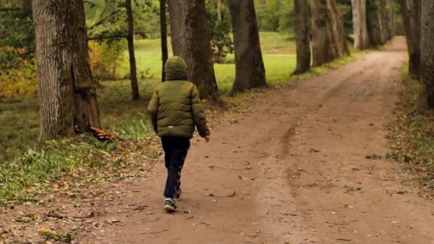 林登小巷 中间的一条路 一个男孩沿着一条小径跑着 公园路旅游景点 有选择性的软重点 为这幅画人工合成的谷物 — 图库视频影像