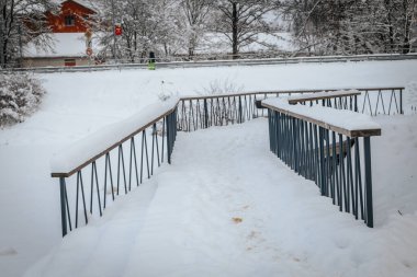 Köprü, göl manzaralı. Donmuş bir kış gününde karla kaplı bir ağaç. Kış harikalar diyarında bir kar ağacı.
