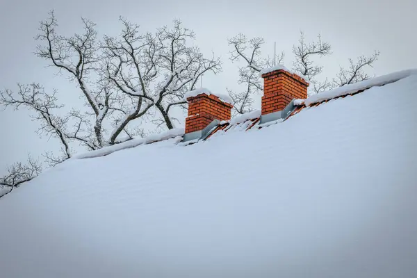 House roof with snow and two chimneys, landscape with cool temperature, winter environment and snowy trees.