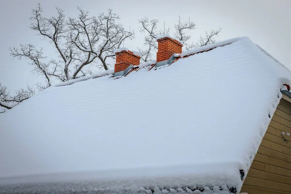 House roof with snow and two chimneys, landscape with cool temperature, winter environment and snowy trees.