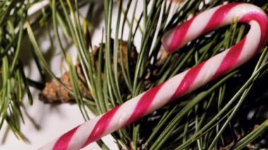 Çikolata ve hindistan cevizli Noel topları. Masada şekerler dönüyor. Dekorasyon için çam iğneleri. Video klipler. Yumuşak seçici odaklanma. Resim için yapay olarak tahıl oluşturuldu