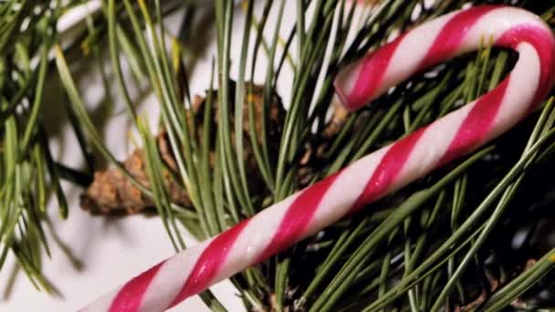 Σοκολάτα Και Καρύδα Μπάλες Χριστούγεννα Καραμέλες Περιστρέφονται Στο Τραπέζι Βελόνες — Αρχείο Βίντεο