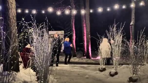 Christmas Lights Park Holiday Decorations People Walking Video Clips Soft — Stock Video