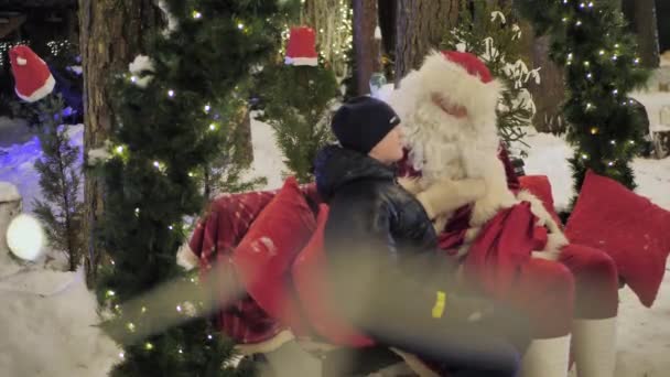 Kerstverlichting Het Park Vakantie Decoraties Mensen Lopen Video Clips Zachte — Stockvideo