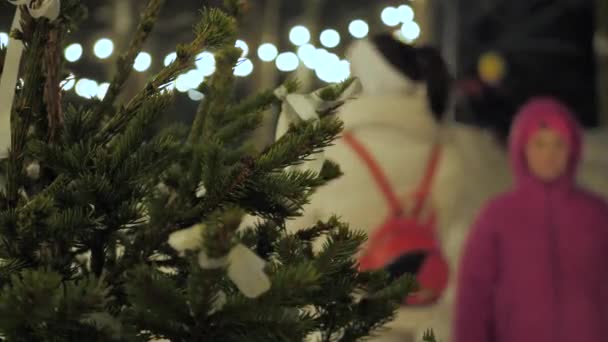 Luces Navidad Parque Decoraciones Navideñas Gente Caminando Video Clips Enfoque — Vídeos de Stock