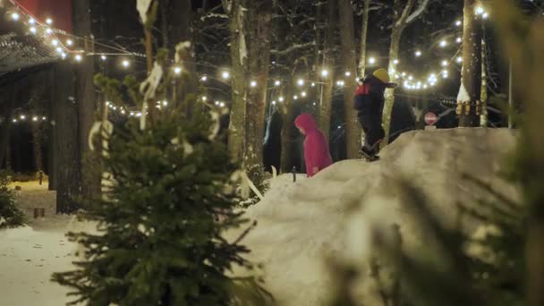 Luces Navidad Parque Decoraciones Navideñas Gente Caminando Video Clips Enfoque — Vídeos de Stock