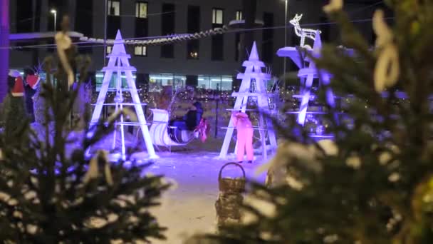 公園のクリスマスライト ホリデーデコレーションや歩く人たち ビデオクリップ 柔らかい選択的な焦点 写真のための人工的に作られた穀物 — ストック動画