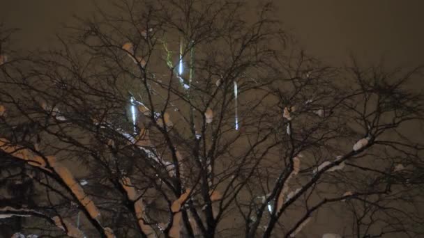 Снег Городских Деревьях Мерцающие Рождественские Огни Видео Мягкий Избирательный Фокус — стоковое видео