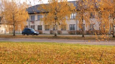 Sonbahar renkli meşe yaprakları rüzgarda esiyor. Video klipler. Manzara. Kahverengi yapraklı bir meşe ağacı çok katlı evlerin yakınında hareket eder. Yumuşak seçici odaklanma. Resim için yapay olarak tahıl oluşturuldu