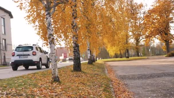 秋天五彩缤纷的橡树叶在风中飘扬 视频剪辑 一棵长着褐色叶子的橡树在多层房屋附近移动 有选择性的软重点 为这幅画人工合成的谷物 — 图库视频影像