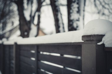 Ağaç çiftliği kış boyunca karla kaplıydı. Kar fırtınası.