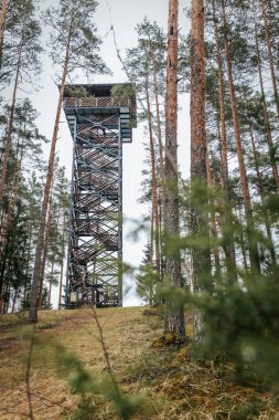 Cirgali gözcü kulesi ve meşe palamudu doğa yolu. Ormandaki Estonya sınırına yakın bir gözetleme kulesi..