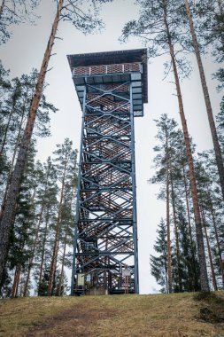 Cirgali lookout tower and acorn nature trail. Lookout tower near the Estonian border in the forest. clipart