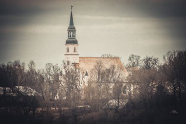 Yaprakları olmayan bir ağaç ve sisli Valmiera Kilisesi..