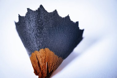 Keskin tahta kalem açacağı. Yaratıcı bir graffiti çizim kaleminden. Kalem atığı kabuğu.