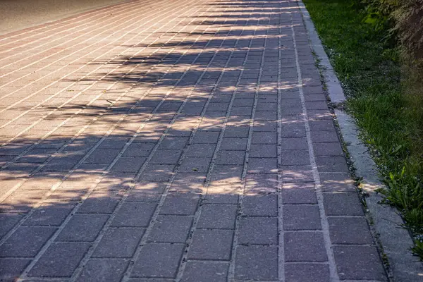 Arka bahçedeki çitin gölgesi. Peyzaj.