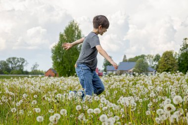 Genç bir çocuk bulutlu bir gökyüzünün altında karahindiba kabuğu tarlasında mutlu bir şekilde koşar. Parlak yeşil manzara ve çiçek açan karahindibalar neşeli bir bahar sahnesi yaratır..