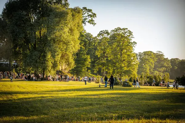 Neşeli bir topluluk güneşli bir günde ferah bir parkta toplanır. İnsanlar yeşil çimlere dağılmış, bazıları köpeklerini gezdiriyor, sosyalleşiyorlar ve dışarıda eğleniyorlar.. 