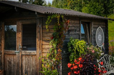 Etrafı uzun mor kır çiçekleriyle çevrili, dekoratif bir duvar düş kapanı olan kırsal bir çiftlik evi. Sahne yemyeşil bir zemin üzerine kurulmuş, kırsal barışın özünü yakalıyor..