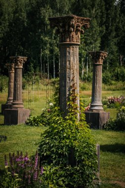 Çiçek bahçesinde duran antik taş sütunların yakın plan görüntüsü. Sütunlar çiçek açan beyaz ortancalar ve diğer yeşilliklerle çevrili. Bu da klasik mimarın bir karışımını oluşturuyor.