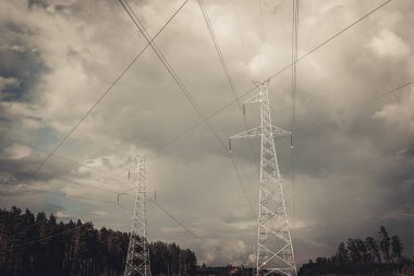 Gökyüzüne uzanan kablolarla dolu yüksek bir metal elektrik hattı kulesi, gururlu bir ormanın ortasında duruyor. Sahne, teknoloji ve doğanın kesişimlerini bulutlu bir gökyüzü ve derinlik ekleyerek yakalıyor..
