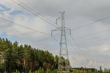 Gökyüzüne uzanan kablolarla dolu yüksek bir metal elektrik hattı kulesi, gururlu bir ormanın ortasında duruyor. Sahne, teknoloji ve doğanın kesişimlerini bulutlu bir gökyüzü ve derinlik ekleyerek yakalıyor..