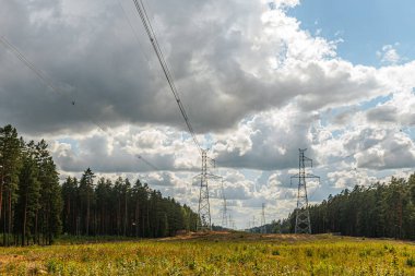 Gökyüzüne uzanan kablolarla dolu yüksek bir metal elektrik hattı kulesi, gururlu bir ormanın ortasında duruyor. Sahne, teknoloji ve doğanın kesişimlerini bulutlu bir gökyüzü ve derinlik ekleyerek yakalıyor..