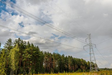 Gökyüzüne uzanan kablolarla dolu yüksek bir metal elektrik hattı kulesi, gururlu bir ormanın ortasında duruyor. Sahne, teknoloji ve doğanın kesişimlerini bulutlu bir gökyüzü ve derinlik ekleyerek yakalıyor..