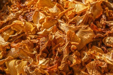 Kurumuş mantarların detaylı görüntüsü, doğal güneş ışığında solungaçların karmaşık desenlerini ve dokularını vurguluyor. Altının gölgeleri sıcak, organik bir his yaratır..