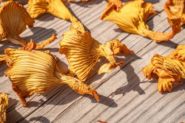 Kurumuş mantarların detaylı görüntüsü, doğal güneş ışığında solungaçların karmaşık desenlerini ve dokularını vurguluyor. Altının gölgeleri sıcak, organik bir his yaratır..