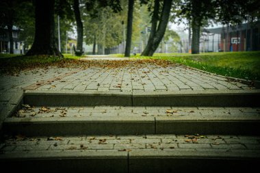 Huzurlu bir parkta uzun ağaçlarla çevrili bir merdivene uzanan huzurlu taşlı bir patika. Düşen sonbahar yaprakları yol boyunca dağılır ve yeşil gölgelik barışçıl bir atmosfer yaratır..