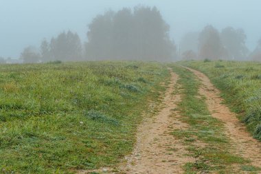 Sis kaplı dar bir toprak yol çimenli bir tarladan uzaklığa doğru esiyor. Çevredeki yeşillik çiğ ile ıslanmış ve yumuşak sis sakin, atmosferik bir hava yaratıyor..